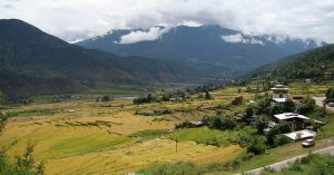 Punakha - Butão Punakha - Butão - Primeira capital. Butão - 2.000 templos budistas.