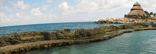 Piscina natural no Parque ecológico Xcaret Piscina natural no Parque ecológico Xcaret no México que tem uma paisagem diversificada