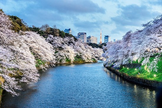 Tóquio - Japão - Os melhores destinos para a sua próxima viagem.
