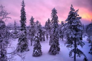 Bem vindo ao Círculo Polar Ártico - Papai Noel - Lapônia