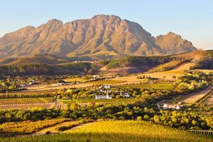 Fazendas de Stellenbosch - África do Sul - Vale a pena visitar