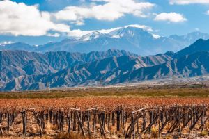 Mendoza - Argentina Mendoza - Argentina