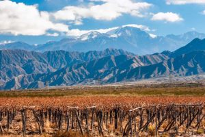 Mendoza - Argentina