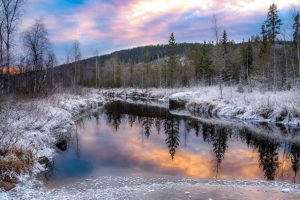 Paisagem de inverno - Lapônia