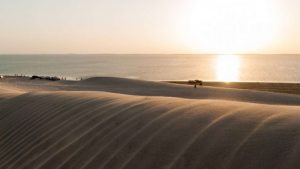 Reserva Natural Khor Al Adaid Reserva Natural Khor Al Adaid - Belezas do Qatar