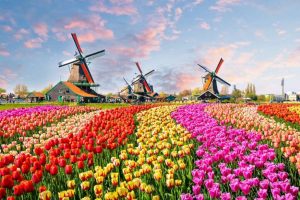 Países Baixos - Moinhos e Tulipas - Curiosidades - Países que mudaram de nome
